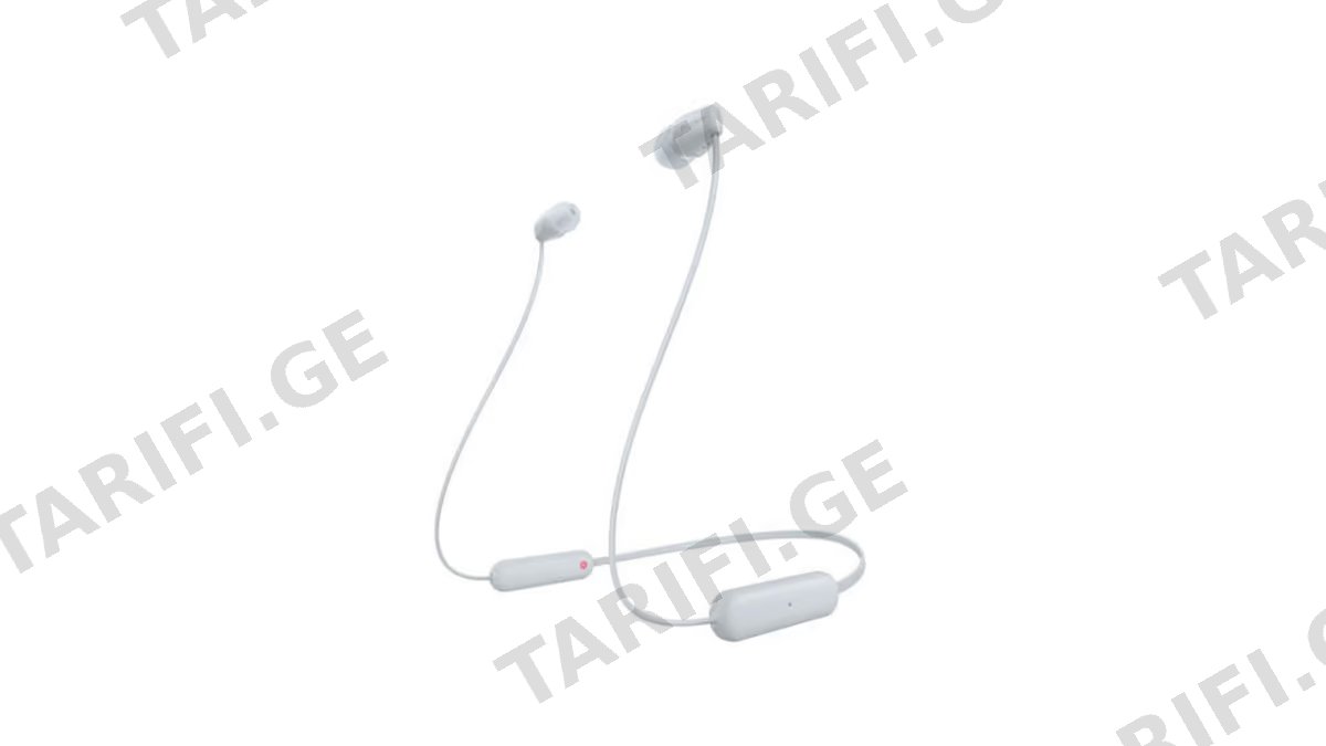 Sony WI-C100 Wireless In-ear Headphones