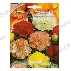 მიხაკის თესლი Carnation Doppio in MIX