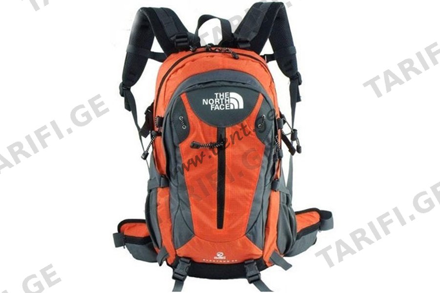 ზურგჩანთა The North Face 25 ლიტრი · 14517
