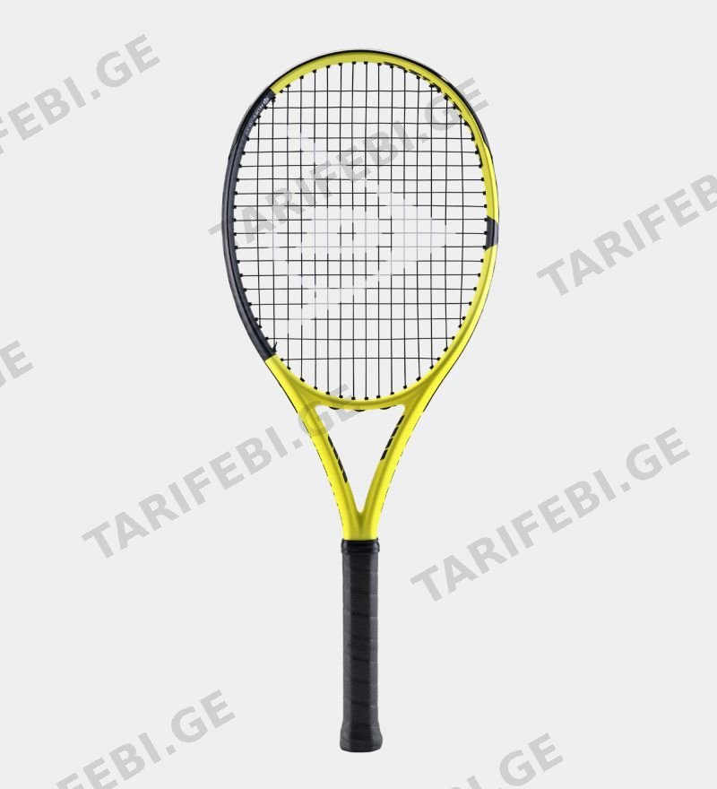 ჩოგბურთის ჩოგანი DUNLOP SX TEAM G2 (280 gr)