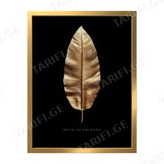 სურათი Styler FR503 GOLD BANANA 30x40 სმ