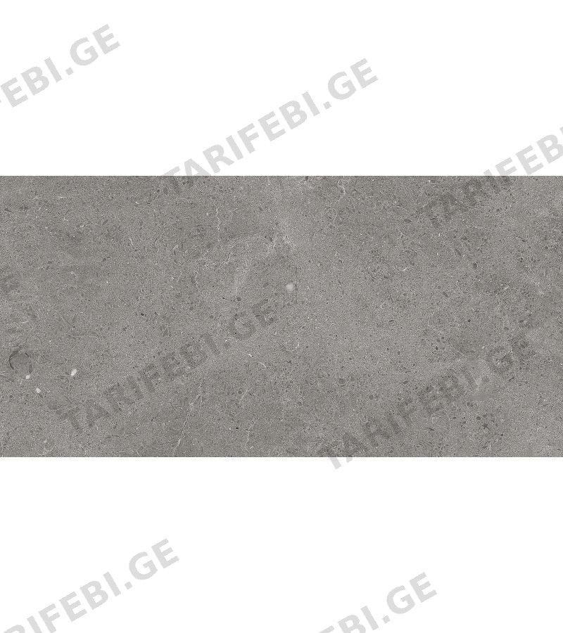 კერამოგრანიტი MUS. SERENASTONE	GRAY 017-L 60*120 ''TAU CERAMICA''