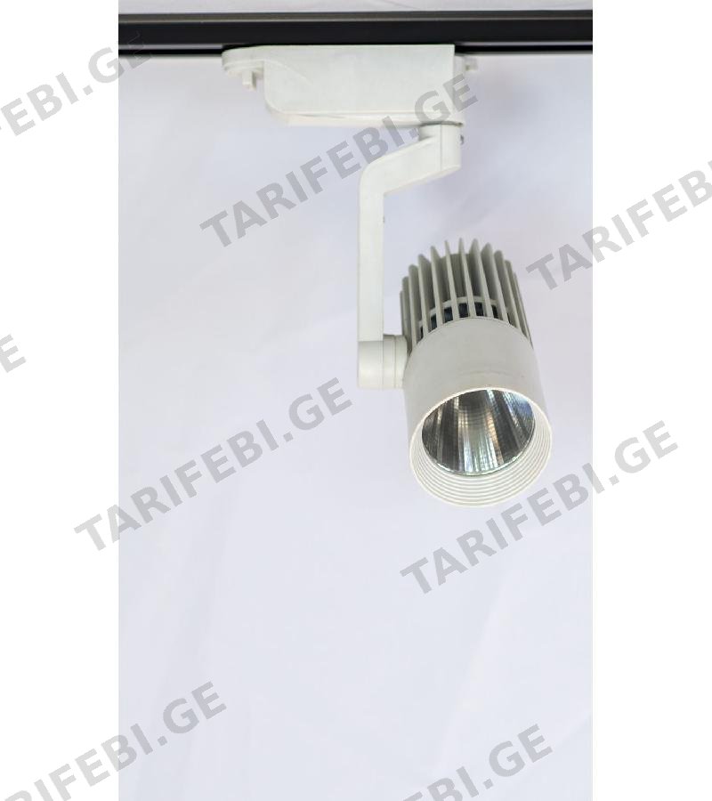 პროჟექტორი LED თეთრი 6500K WD-119 30 W