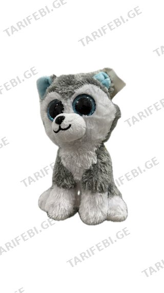 Slush the husky
