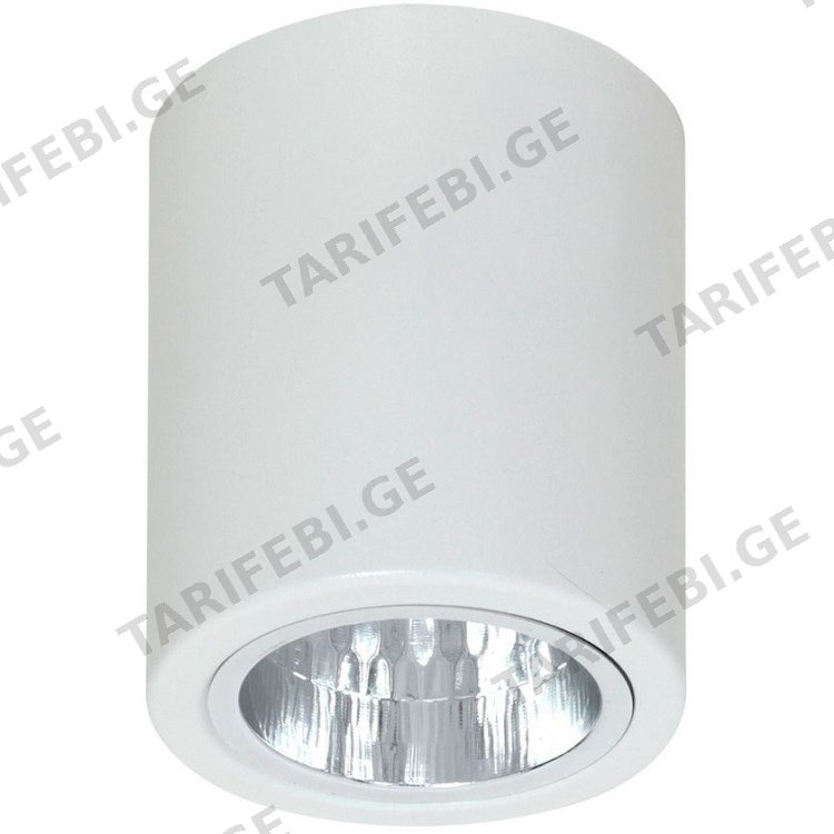 სანათი წერტილოვანი Luminex Downlight round 7236 D11 1xE27 60W თეთრი