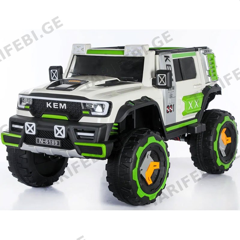ბავშვის ელექტრო მანქანა GOLDEN CHILD N-6189-W