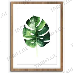სურათი ჩარჩოში Styler Wooden Monstera FR279 30X40 სმ