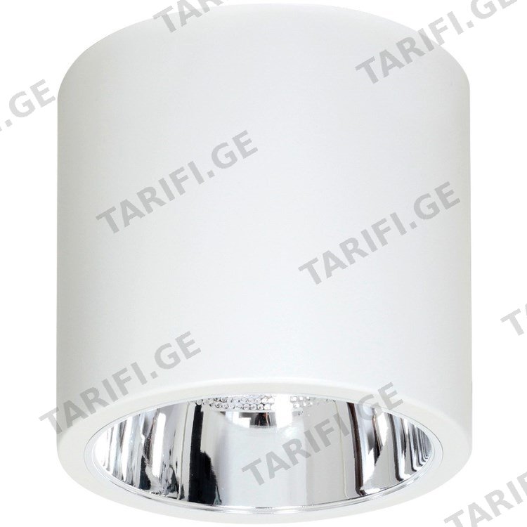 სანათი წერტილოვანი Luminex Downlight round 7242 D22.9 1xE27 60W თეთრი