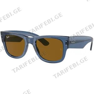 Ray-Ban RB0840S 668073 51 U