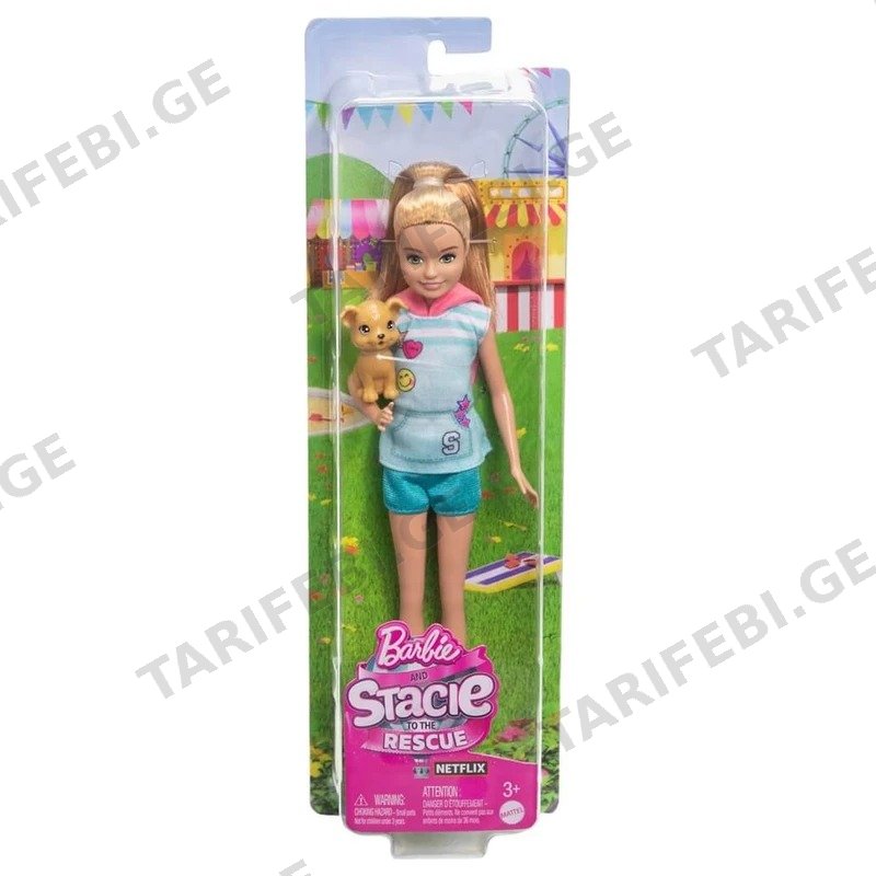 ბარბის თოჯინა STACIE MATTEL HRM05