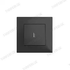 როზეტი LEGRAND ჩარჩოს გარეშე USB შავი