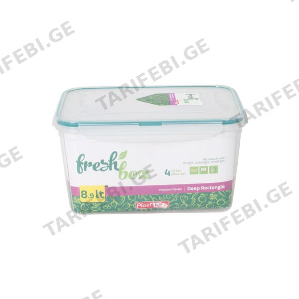პლასტმასის კონტეინერი ჰერმეტული FRESH BOX (4ც) ლც-355