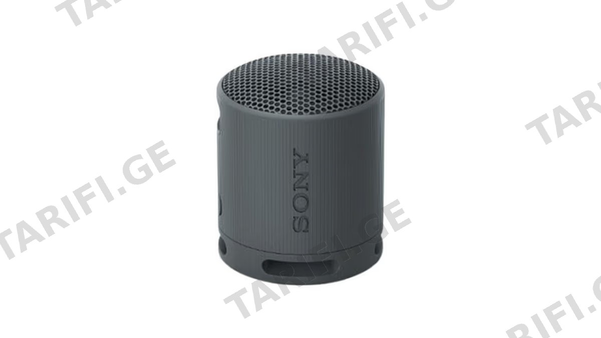 Sony SRS-XB100 Wireless Speaker black