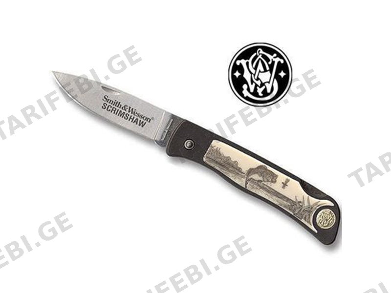 დანა SW381