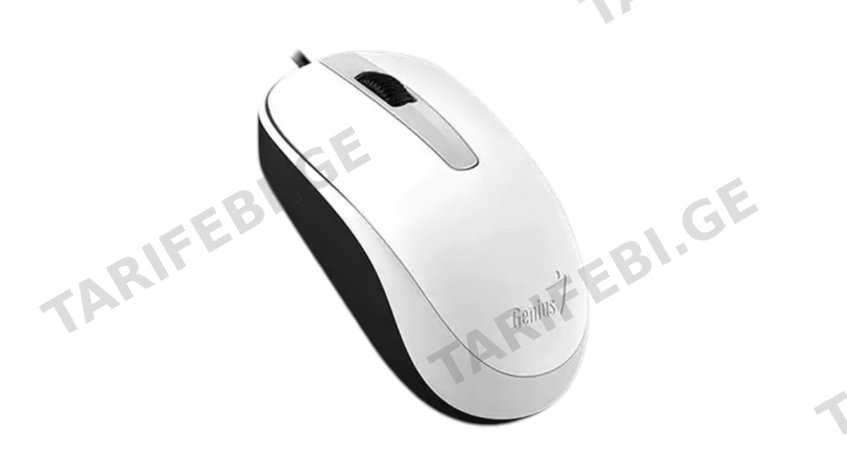 Genius DX-120 მაუსი სადენით თეთრი (50982)