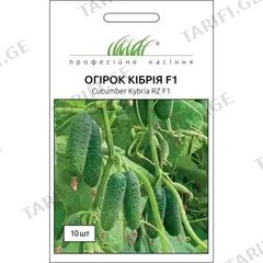 კიტრის თესლი Elitsort Seeds Kybria RZ F1 10 ც