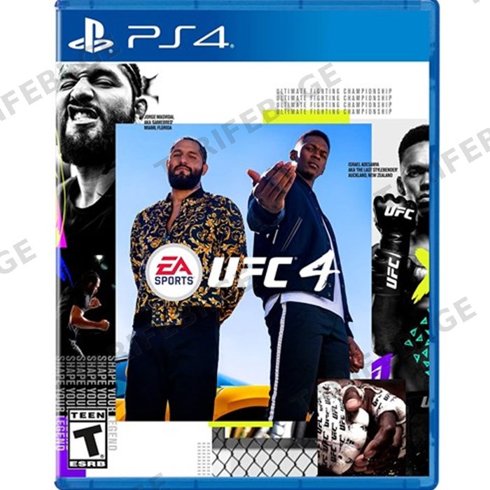 ვიდეო თამაში GAME FOR PS4 UFC 4