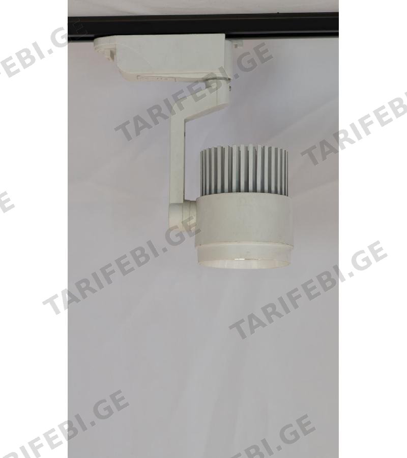 პროჟექტორი LED თეთრი 6500K WD-113 20 W