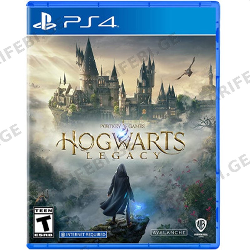 ვიდეო თამაში HOGWARTS LEGACY GAME FOR PS4