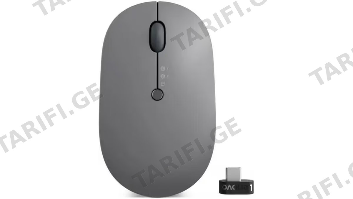 Lenovo Go Wireless Multi-Device Mouse - Storm Grey