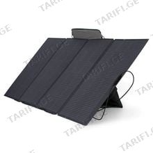 EcoFlow 400W პორტატული მზის პანელი
