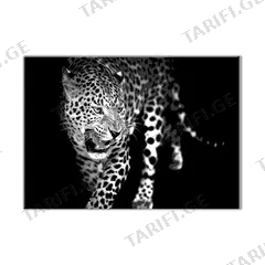 სურათი მინაზე Styler Leopard GL106 70X100 სმ