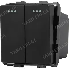 ჩამრთველი Socket Style 2 მექანიკური ორიანი 2G-2W შავი