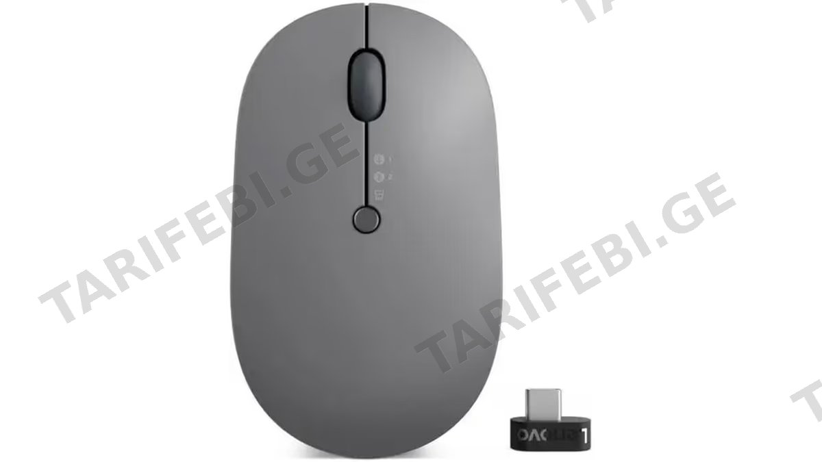 Lenovo Go Wireless Multi-Device Mouse - Storm Grey