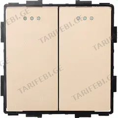 ჩამრთველი Socket Style 2 2G-2W ოქროსფერი