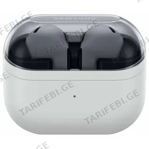 Samsung Galaxy Buds 3 FE Gray SM-R420NZKACIS