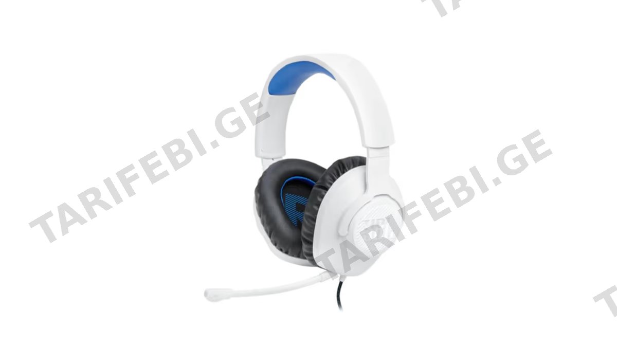 JBL Quantum 100P Gaming Headphones