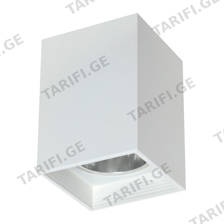 სანათი წერტილოვანი Luminex Downlight sguare 7244 1xE27 60W თეთრი
