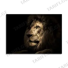 სურათი მინაზე Styler Lion GL247 70X100 სმ