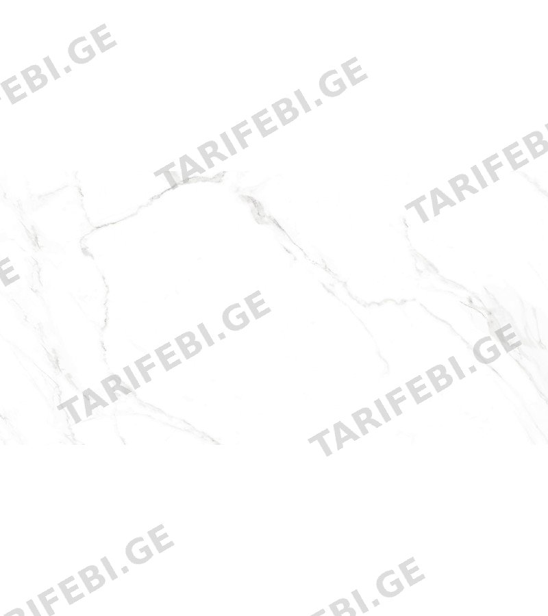 კერამოგრანიტი NAOS BLANCO PL R 60*120 EMOTION.SL