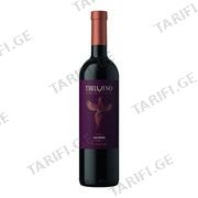 თბილღვინო ღვინო საჩინო წით ნ/მშ -0.75ლ