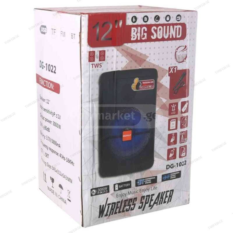 Wireless speaker DG-1022 big sound Karaoke microphone