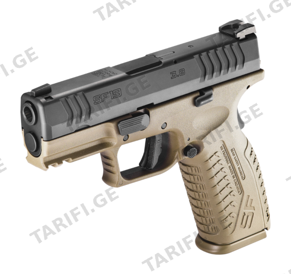 HS SF19 3.8 FDE