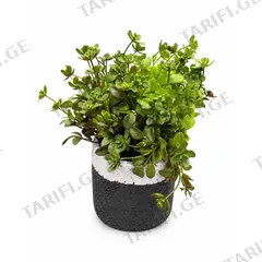 ხელოვნური ყვავილები 2025101821GUYW759