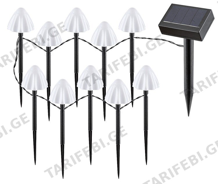 სანათი მზის ელემენტებზე Rabalux Skadar LED 10x 2W 2600K IP44 77007