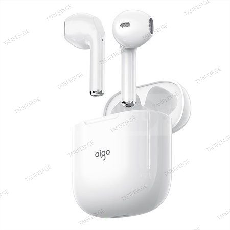 T18 AIGO
