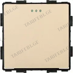 ჩამრთველი Socket Style 1 1G-2W ოქროსფერი