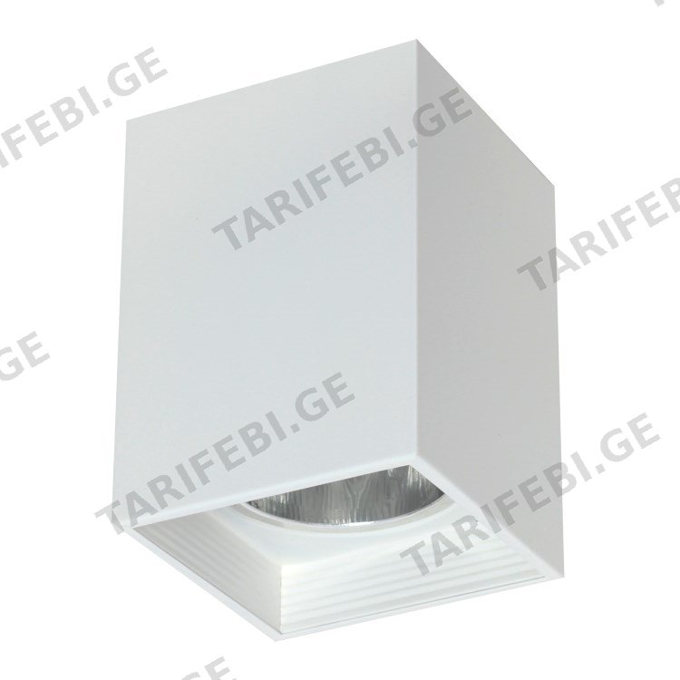 სანათი წერტილოვანი Luminex Downlight sguare 7244 1xE27 60W თეთრი