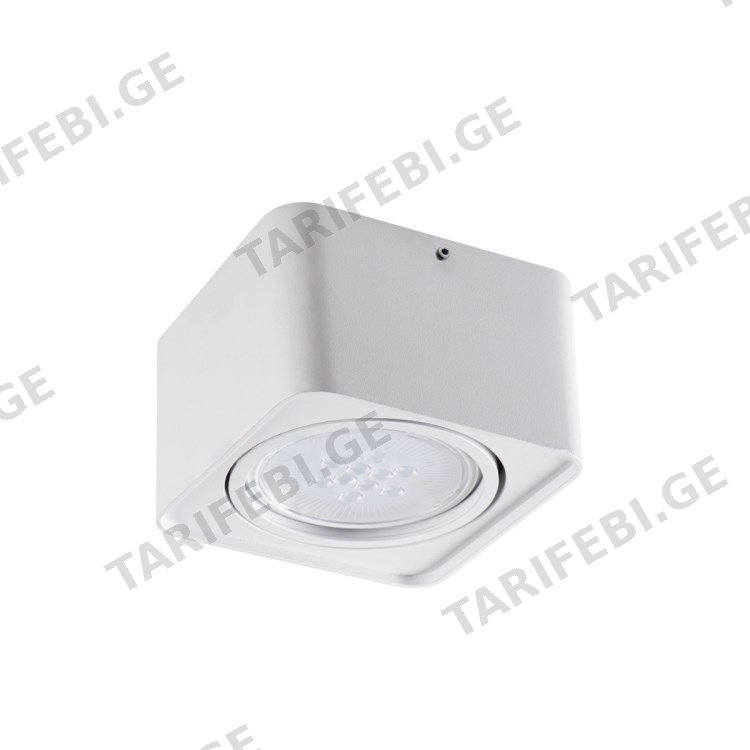 სანათი წერტილოვანი მბრუნავი Kanlux TUBEO ES 50-W GU10 1x MAX 25W