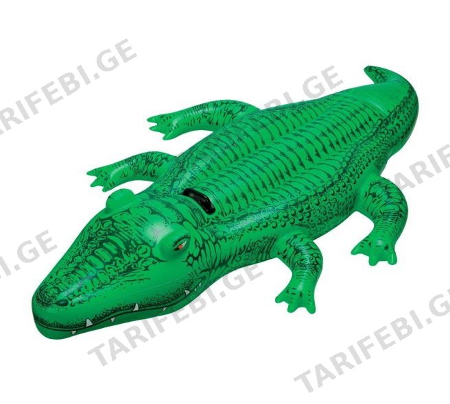 გასაბერი კამერა Intex 58546