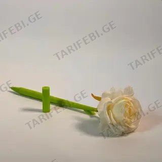 კალმაი ვარდი თეთრი