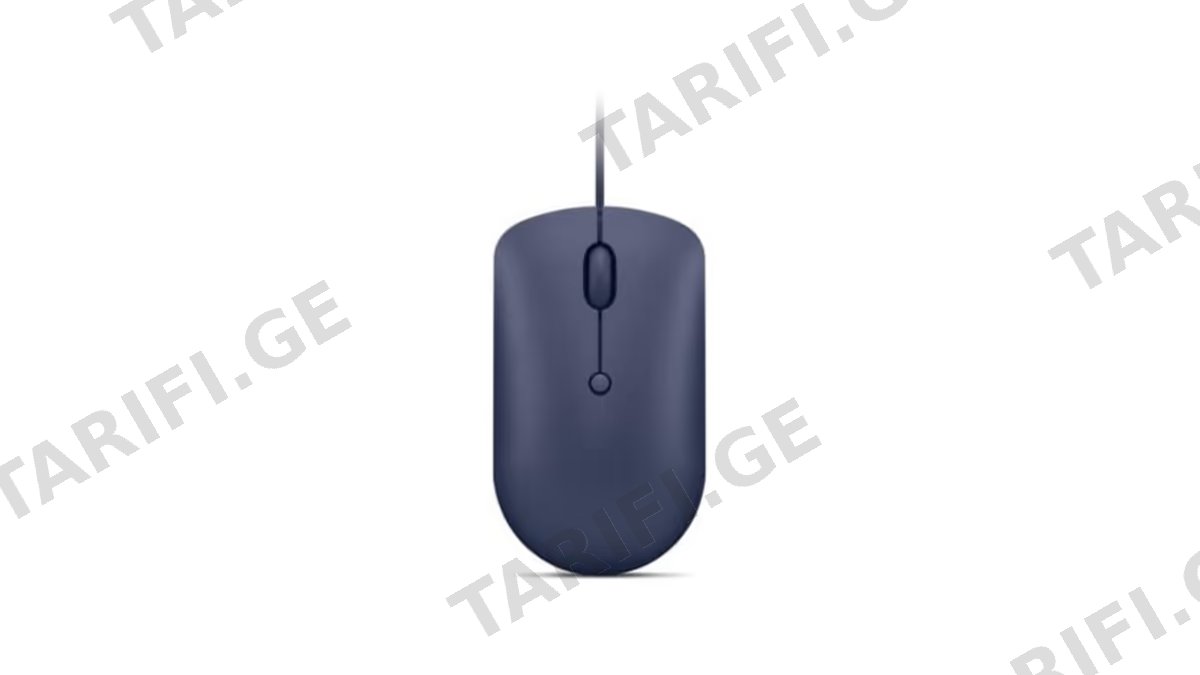Lenovo 540 USB-C Wired Mouse GY51D20878