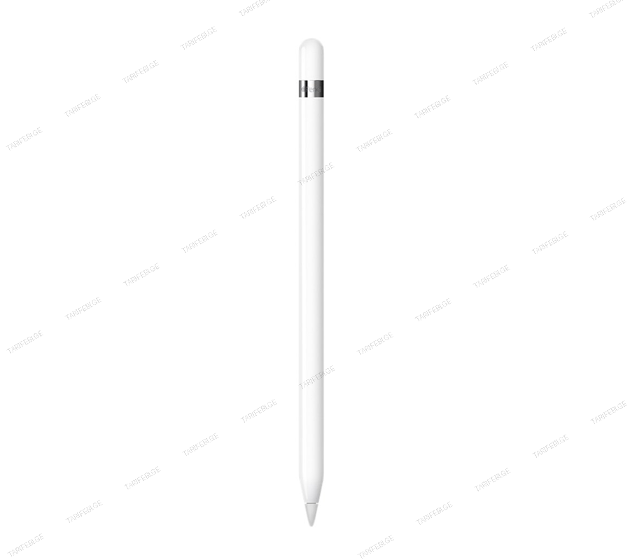 Apple Pencil (1st Generation)