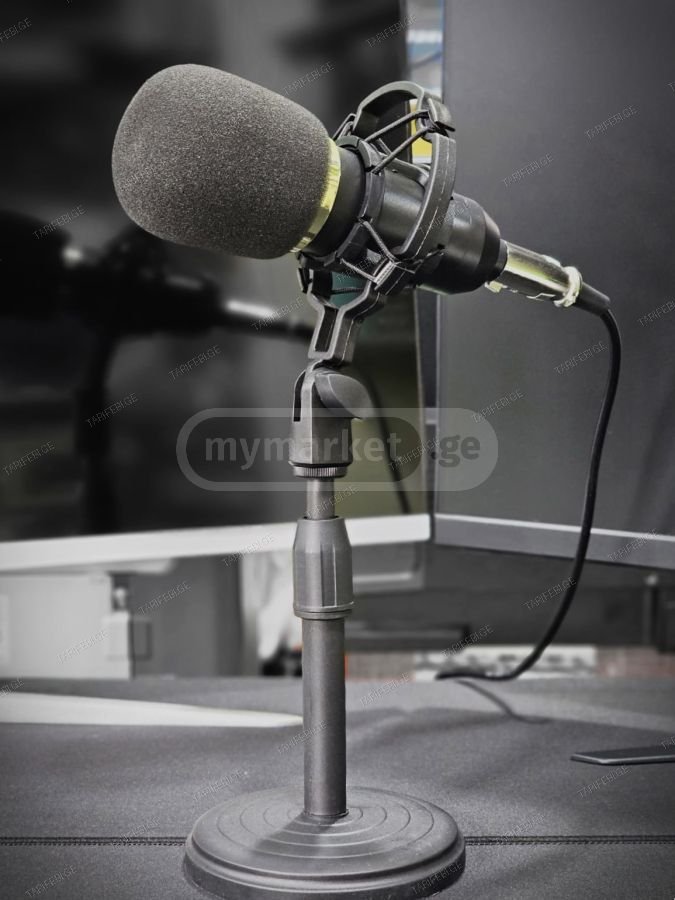 Professional BM800 Condenser Microphone