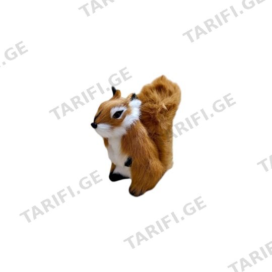 ციყვი