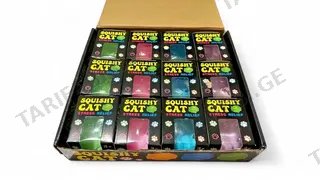 Squishy Cat სტრესის მოსახსნელი სათამაშოები, 12 ცალი